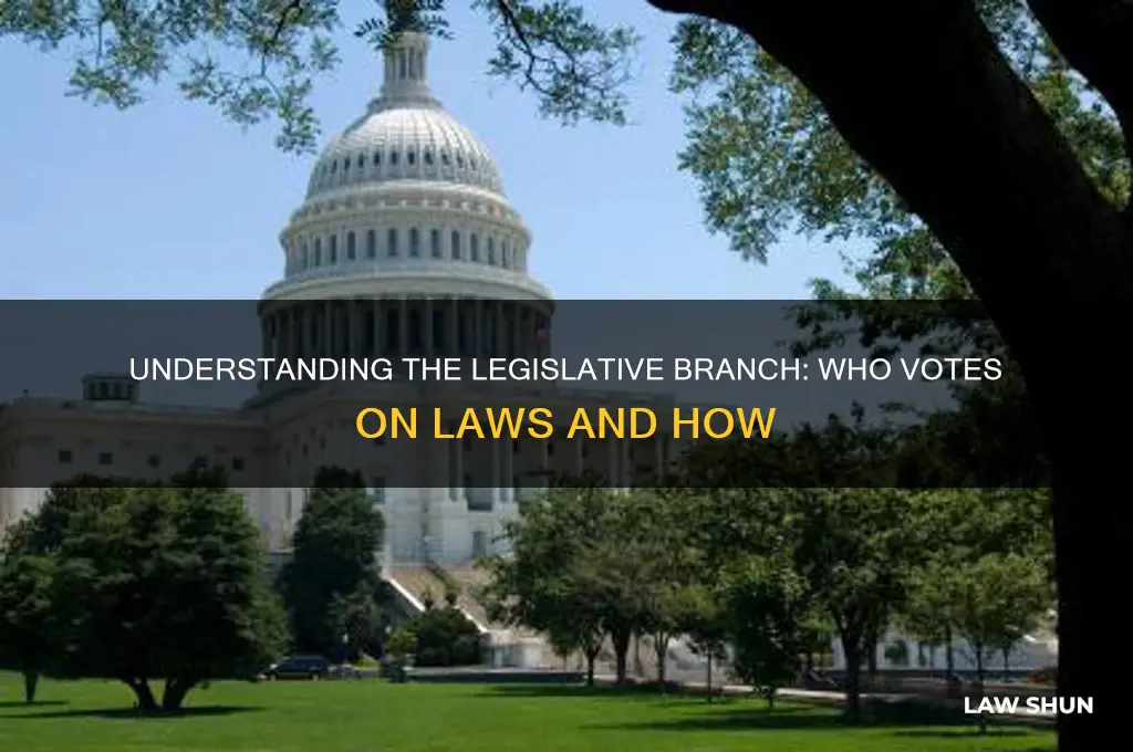 which branch votes on laws