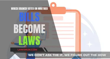 The Power to Shape Laws: Voting on the Bills