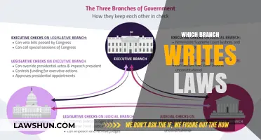 Understanding the Legislative Branch: Who Writes and Enacts Laws?