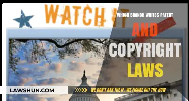Understanding Patent and Copyright Laws: Which Government Branch Drafts Them?