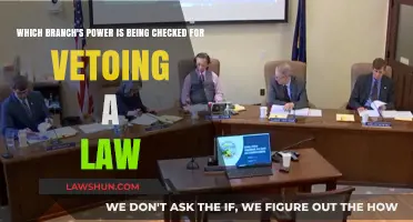 Veto Power Check: Which Government Branch Oversees Law Rejection?