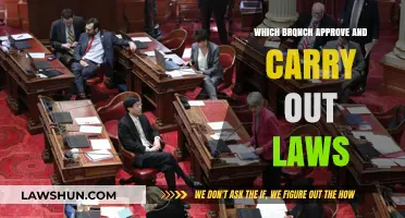 Understanding the Legislative Process: Which Branch Enacts and Executes Laws?