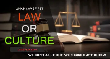 The Evolution of Law and Culture: Which Came First?