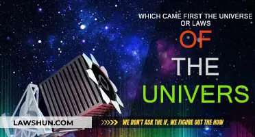 The Laws of the Universe: A Cosmic Chicken or Egg?