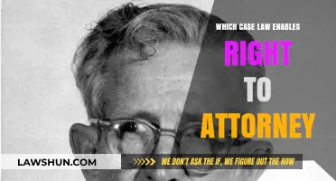 The Right to Counsel: A Landmark Case Law