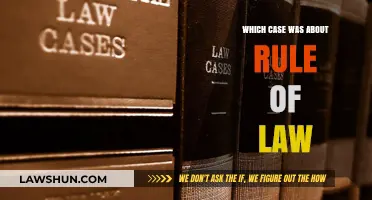 The Rule of Law: A Landmark Case Study