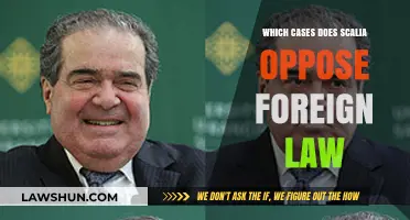 Scalia's Opposition to Foreign Law: Key Cases