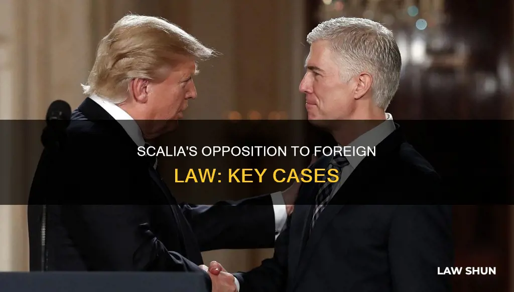 which cases does scalia oppose foreign law