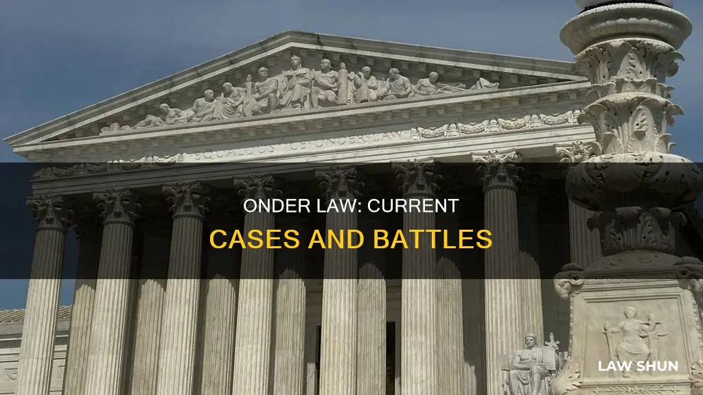 which cases is onder law currently workinh on