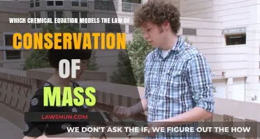 Chemical Equations Demonstrating the Law of Conservation of Mass