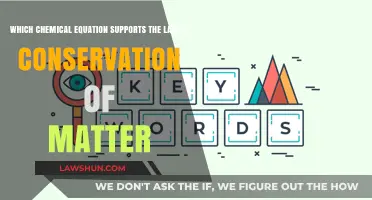 Chemical Reactions Upholding the Law of Conservation of Matter