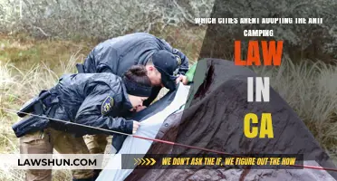 Cities Resisting California's Anti-Camping Law: A Closer Look