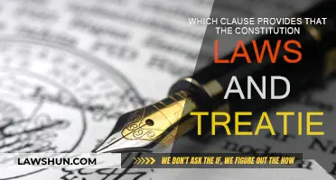 The Constitution, Laws, and Treaties: Which Clause Reigns Supreme?