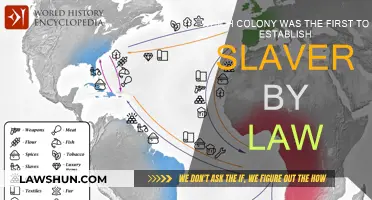 Slavery's Legal Roots: The First Colony to Enact Laws