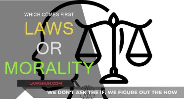 Morality: The Foundation of Laws?