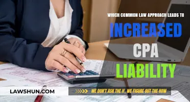 Common Law Approach: CPAs' Liability Risks