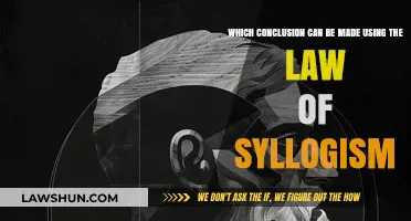 Syllogism Conclusions: What Can Be Inferred?
