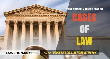 Understanding the Judicial Branch's Role in Law