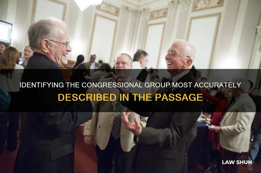 which congressional group is most likely described in the passage