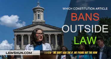 Foreign Law Ban: Understanding the Constitution's Article