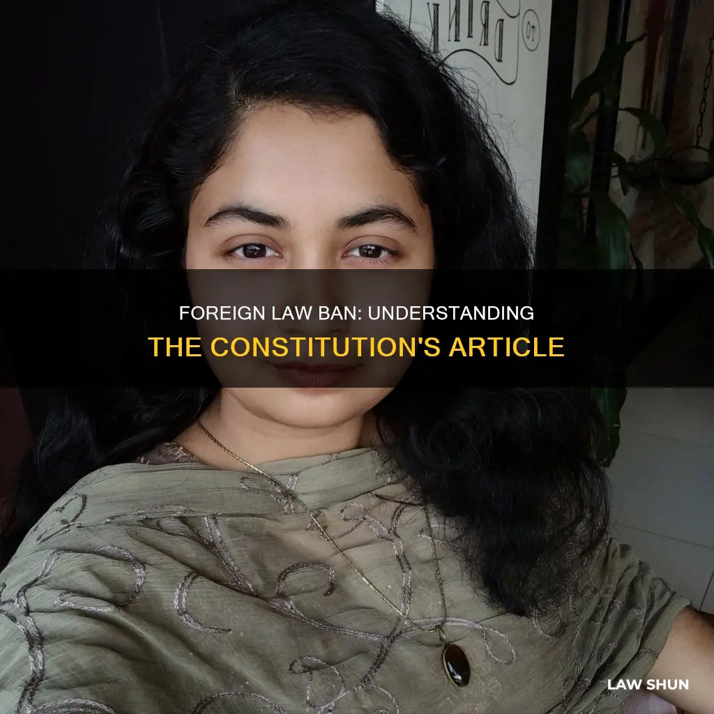 which constitution article bans outside law