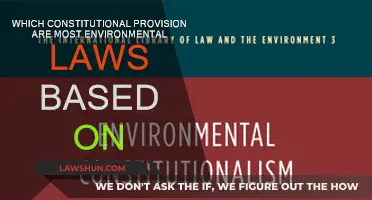 Environmental Law: Constitutional Foundations