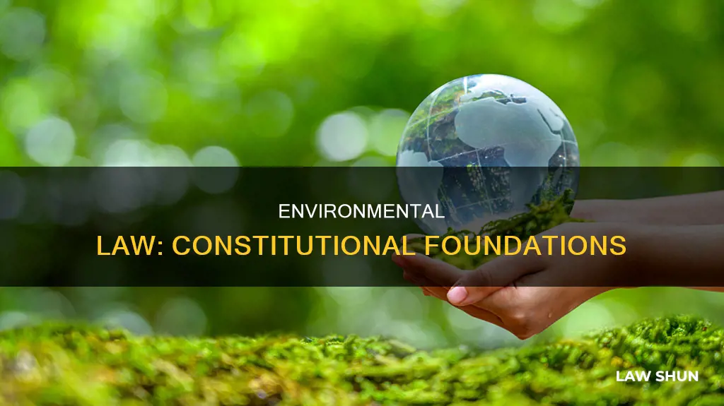 which constitutional provision are most environmental laws based on
