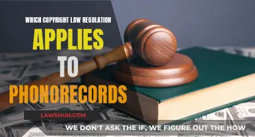 Understanding Copyright Law for Phonorecords