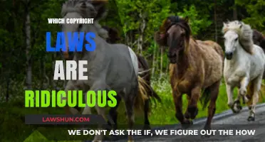 Absurd Copyright Laws: Outrageous Restrictions That Stifle Creativity and Innovation