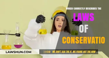 Understanding the Immutable Laws of Conservation in Science and Nature
