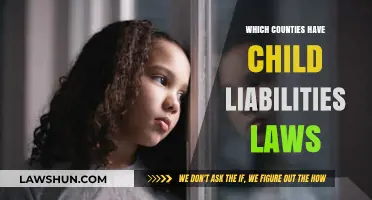 Counties with Child Liability Laws: Understanding Parental Responsibility