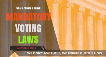 Countries with Mandatory Voting Laws: Who Must Cast a Ballot?