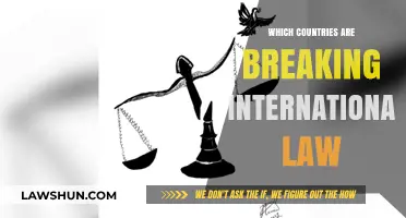 Global Violations: Unveiling Nations Breaking International Law