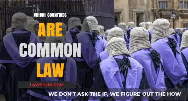 Common Law Countries: A Global Overview