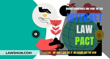 Global Internet Law Pact: Participating Countries and Their Commitments