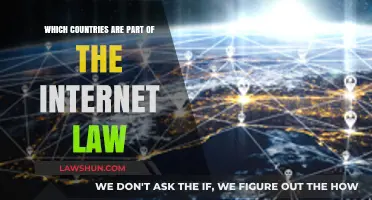 Global Internet Governance: Exploring Countries Shaping Online Laws and Policies