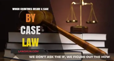Case-by-Case Law: Which Countries Use This System?