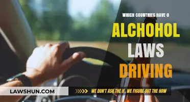 Global Zero-Tolerance: Countries with Strict No-Alcohol Driving Laws