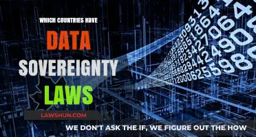 Data Sovereignty Laws: Which Countries Control Their Digital Borders?