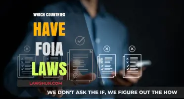 Global Transparency: Countries with Freedom of Information Laws Revealed