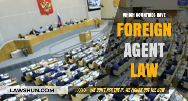 Global Overview: Countries with Foreign Agent Laws Explained