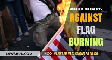 Global Flag Burning Laws: Which Nations Prohibit This Controversial Act?
