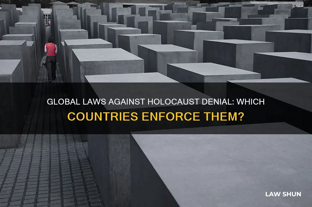 which countries have laws against holocaust denial