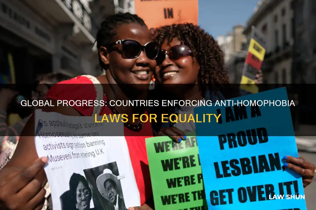 which countries have laws against homophobia