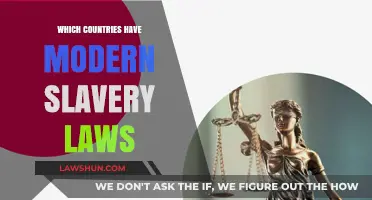 Modern Slavery Laws: Which Countries Are Leading the Fight?