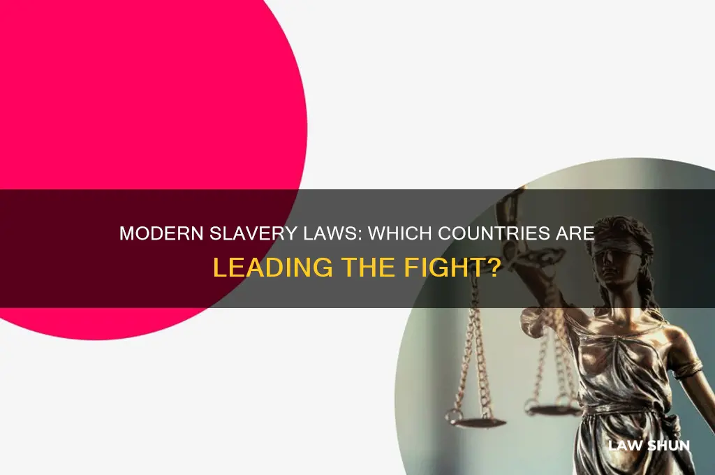 which countries have modern slavery laws
