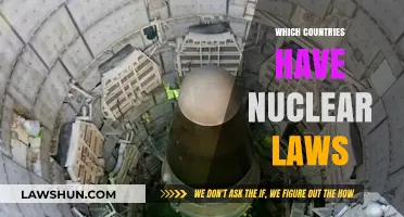 Global Nuclear Regulations: Countries with Comprehensive Atomic Energy Laws