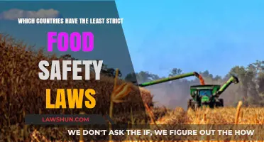 Exploring Nations with Lax Food Safety Regulations: A Global Overview