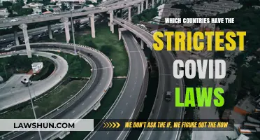 Global Lockdown: Nations with the Harshest COVID-19 Restrictions Revealed