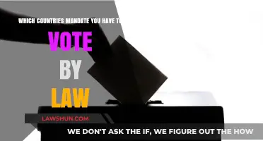 Global Voting Laws: Countries Where Casting a Ballot is Mandatory